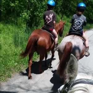 Meet your Posher, Taylor